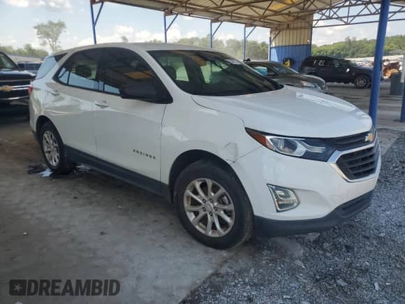 2019 Chevrolet Equinox LS with VIN 3GNAXHEV3KS507805, listed as a Copart auction lot 69104475 with 177,180 mi miles and Salvage title. Bid and sale history available at DreamBid. Image 4.