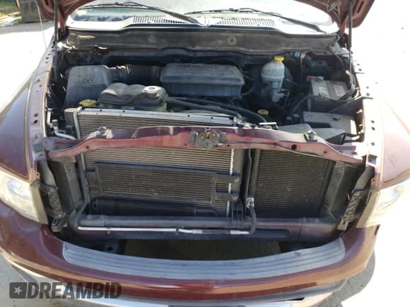 ✅ 2002 Dodge 1500 • VIN: 1D7HA18N22S657840 • Лот: 71930694. Опубликован ранее на Copart с пробегом 114 663 миль. Бесплатный доступ к архиву аукционных продаж из США и подробный отчёт об истории автомобиля на DreamBid. Изображение 12.