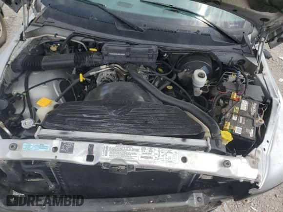 2001 Dodge 1500 Work Special с VIN 1B7HC16X01S251756, выставлен на аукционе Copart как лот 69601394 с пробегом 235 982 миль миль и На запчасти • Non repairable. История ставок и продаж доступна на DreamBid. Изображение 12.