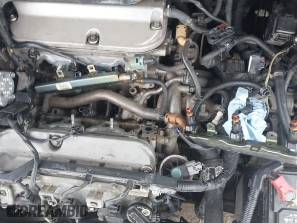 ✅ 2005 Acura TL • VIN: 19UUA66255A058988 • Lot: 43770544. Listed on IAAI with 187,188 mi. Free auction sales archive from the USA and detailed vehicle history report at DreamBid. Image 12.