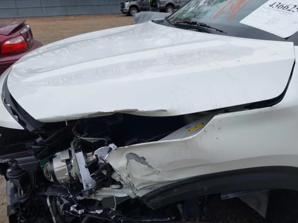 ✅ 2025 Kia Seltos EX • VIN: KNDERCAA4S7669905 • Lot: 43662509. Wystawiony na IAAI z przebiegiem 13 087 mil. Bezpłatny archiwum sprzedaży aukcyjnych z USA i szczegółowy raport historii pojazdu na DreamBid. Zdjęcie 18.