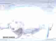 2006 Hyundai Elantra GLS с VIN KMHDN46D36U255551, выставлен на аукционе Copart как лот 72062644 с пробегом 204 287 миль миль и На запчасти • Non repairable. История ставок и продаж доступна на DreamBid. Изображение 13.