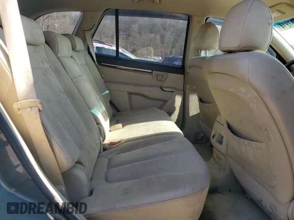 ✅ 2007 Hyundai Santa Fe GLS • VIN: KM8SG73D57U138515 • Lot: 82907214. Listed on Copart with 116,169 mi. Free auction sales archive from the USA and detailed vehicle history report at DreamBid. Image 11.