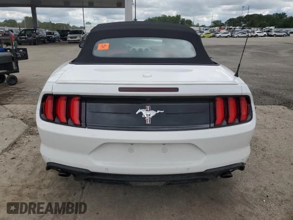 ✅ 2019 Ford Mustang EcoBoost • VIN: 1FATP8UH1K5201330 • Lot: 69406455. Listed on Copart with Not provided. Free auction sales archive from the USA and detailed vehicle history report at DreamBid. Image 6.