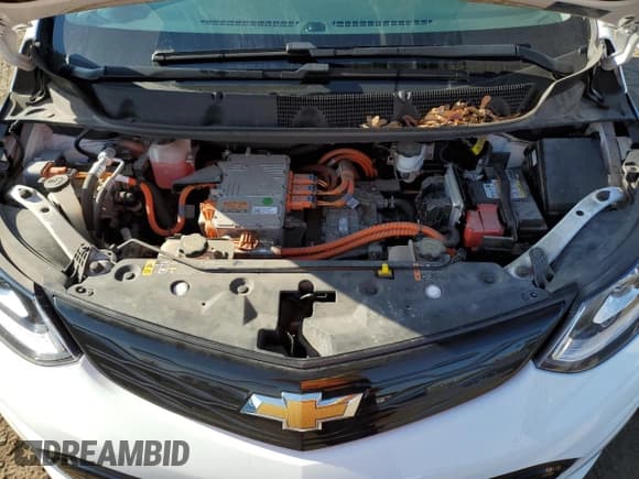 ✅ 2020 Chevrolet Bolt EV LT • VIN: 1G1FY6S08L4123912 • Lot: 74439524. Wystawiony na Copart z przebiegiem 67 214 mil. Bezpłatny archiwum sprzedaży aukcyjnych z USA i szczegółowy raport historii pojazdu na DreamBid. Zdjęcie 11.