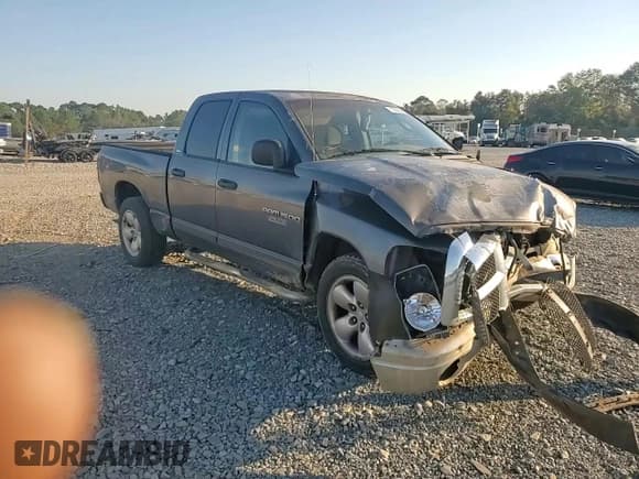 ✅ 2002 Dodge 1500 • VIN: 1D7HA18N82S642131 • Лот: 76282854. Опубликован ранее на Copart с пробегом 206 873 миль. Бесплатный доступ к архиву аукционных продаж из США и подробный отчёт об истории автомобиля на DreamBid. Изображение 11.