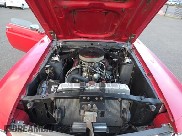 ✅ 1970 Ford Mustang • VIN: 0F03F135609 • Lot: 93353715. Listed on Copart with 44,994 mi. Free auction sales archive from the USA and detailed vehicle history report at DreamBid. Image 7.