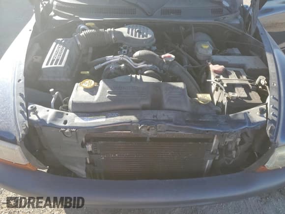 ✅ 2003 Dodge Dakota • VIN: 1D7FL16X93S146486 • Lot: 85340554. Wystawiony na Copart z przebiegiem 195 260 mil. Bezpłatny archiwum sprzedaży aukcyjnych z USA i szczegółowy raport historii pojazdu na DreamBid. Zdjęcie 11.