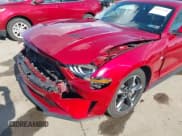 ✅ 2020 Ford Mustang GT • VIN: 1FA6P8CF5L5190332 • Lot: 43517250. Listed on IAAI with 32,663 mi. Free auction sales archive from the USA and detailed vehicle history report at DreamBid. Image 6.