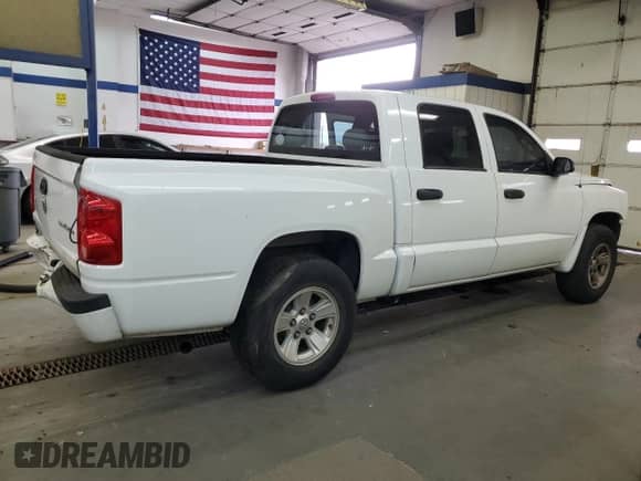 2010 Dodge Dakota ST with VIN 1D7CW2GK6AS125806, listed as a Copart auction lot 81616924 with 223,513 mi miles and Salvage title. Bid and sale history available at DreamBid. Image 3.