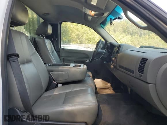 ✅ 2013 Chevrolet Silverado 1500 Work Truck • VIN: 1GCNCPEX6DZ151115 • Lot: 73573384. Listed on Copart with 216,858 mi. Free auction sales archive from the USA and detailed vehicle history report at DreamBid. Image 10.