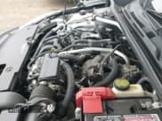 ✅ 2020 Nissan Sentra SR • VIN: 3N1AB8DV4LY290968 • Лот: 42847501. Опубликован ранее на IAAI с пробегом 95 741 миль. Бесплатный доступ к архиву аукционных продаж из США и подробный отчёт об истории автомобиля на DreamBid. Изображение 19.