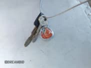 ✅ 1993 Ford Taurus GL • VIN: 1FALP52U5PG307662 • Lot: 43924999. Wystawiony na IAAI z przebiegiem 5 112 mil. Bezpłatny archiwum sprzedaży aukcyjnych z USA i szczegółowy raport historii pojazdu na DreamBid. Zdjęcie 11.