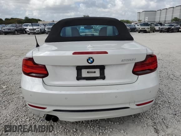 ✅ 2020 BMW 2 Series 230i • VIN: WBA2M7C01L7G28761 • Lot: 51585835. Wystawiony na Copart z przebiegiem 27 329 mil. Bezpłatny archiwum sprzedaży aukcyjnych z USA i szczegółowy raport historii pojazdu na DreamBid. Zdjęcie 6.