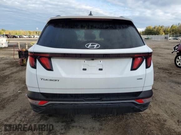 ✅ 2024 Hyundai Tucson SEL • VIN: KM8JBCDEXRU289203 • Lot: 75284494. Wystawiony na Copart z przebiegiem 13 197 mil. Bezpłatny archiwum sprzedaży aukcyjnych z USA i szczegółowy raport historii pojazdu na DreamBid. Zdjęcie 6.