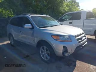 ✅ 2009 Hyundai Santa Fe SE • VIN: 5NMSH13E39H286132 • Lot: 42306022. Listed on IAAI with 133,255 mi. Free auction sales archive from the USA and detailed vehicle history report at DreamBid. Image 1.