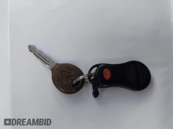 ✅ 2002 Dodge RAM • VIN: 1B7HU18N52J106941 • Lot: 43578360. Wystawiony na IAAI z przebiegiem 227 662 mil. Bezpłatny archiwum sprzedaży aukcyjnych z USA i szczegółowy raport historii pojazdu na DreamBid. Zdjęcie 11.