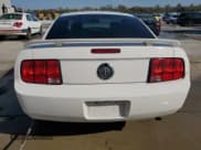 ✅ 2006 Ford Mustang Standard • VIN: 1ZVFT80N665140137 • Lot: 91023655. Listed on Copart with 165,034 mi. Free auction sales archive from the USA and detailed vehicle history report at DreamBid. Image 6.