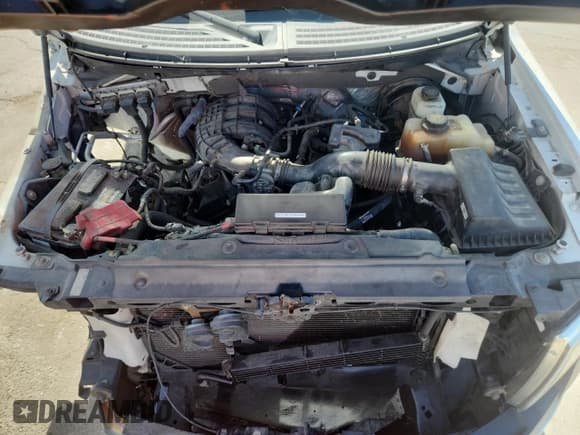 ✅ 2013 Ford F-150 XL • VIN: 1FTMF1CM4DKF26646 • Lot: 66309905. Wystawiony na Copart z przebiegiem 342 614 mil. Bezpłatny archiwum sprzedaży aukcyjnych z USA i szczegółowy raport historii pojazdu na DreamBid. Zdjęcie 11.