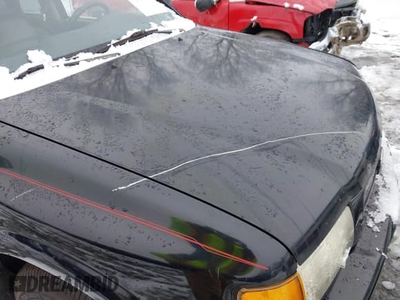 ✅ 1998 Honda Passport LX • VIN: 4S6CM58W9W4406919 • Lot: 43850148. Listed on IAAI with 171,212 mi. Free auction sales archive from the USA and detailed vehicle history report at DreamBid. Image 14.