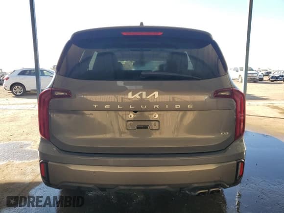 ✅ 2025 Kia Telluride S • VIN: 5XYP6DGC5SG586826 • Lot: 89677615. Wystawiony na Copart z przebiegiem 15 460 mil. Bezpłatny archiwum sprzedaży aukcyjnych z USA i szczegółowy raport historii pojazdu na DreamBid. Zdjęcie 6.