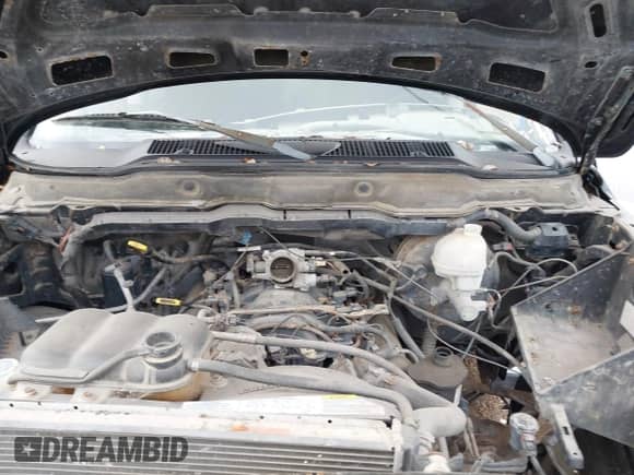 2003 Dodge 1500 ST z VIN 1D7HA18N33S347312, wystawiony jako IAAI lot #42521588 z przebiegiem Nie podano mil oraz . Historia ofert i sprzedaży dostępna na DreamBid. Obrazek 10.