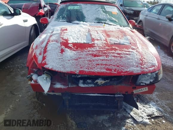 ✅ 2003 Ford Mustang SVT Cobra • VIN: 1FAFP49Y93F443647 • Lot: 43658707. Wystawiony na IAAI z przebiegiem 146 670 mil. Bezpłatny archiwum sprzedaży aukcyjnych z USA i szczegółowy raport historii pojazdu na DreamBid. Zdjęcie 13.