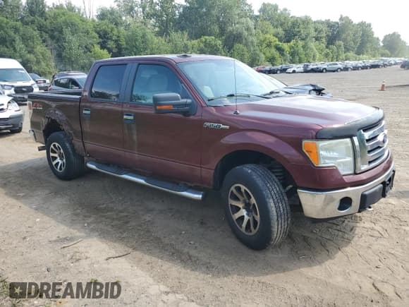 ✅ 2009 Ford F-150 XL • VIN: 1FTRW14899KA23757 • Lot: 68634555. Wystawiony na Copart z przebiegiem 232 630 mil. Bezpłatny archiwum sprzedaży aukcyjnych z USA i szczegółowy raport historii pojazdu na DreamBid. Zdjęcie 4.