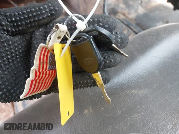 ✅ 2009 Ford F-250 • VIN: 1FDNF21579EA07923 • Лот: 41863139. Опубликован ранее на IAAI с пробегом 269 940 миль. Бесплатный доступ к архиву аукционных продаж из США и подробный отчёт об истории автомобиля на DreamBid. Изображение 11.