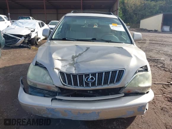 ✅ 2002 Lexus RX 300 • VIN: JTJGF10U320130957 • Lot: 43586189. Listed on IAAI with 142,898 mi. Free auction sales archive from the USA and detailed vehicle history report at DreamBid. Image 6.