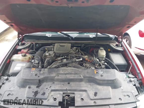 ✅ 2014 Chevrolet Silverado 2500HD LTZ • VIN: 1GC1KYE85EF174808 • Лот: 42471174. Опубликован ранее на IAAI с пробегом 234 345 миль. Бесплатный доступ к архиву аукционных продаж из США и подробный отчёт об истории автомобиля на DreamBid. Изображение 10.