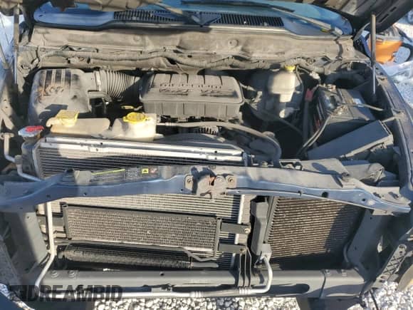 2006 Dodge 1500 ST z VIN 1D7HA18N26J103340, wystawiony jako Copart lot #87310774 z przebiegiem 180 115 mil mil oraz Szkoda całkowita • Salvage title. Historia ofert i sprzedaży dostępna na DreamBid. Obrazek 11.