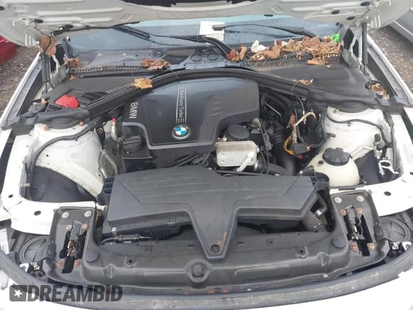 ✅ 2013 BMW 3 Series 328i xDrive • VIN: WBA3B5G50DNS03871 • Лот: 42737973. Опубликован ранее на IAAI с пробегом Не указан. Бесплатный доступ к архиву аукционных продаж из США и подробный отчёт об истории автомобиля на DreamBid. Изображение 10.