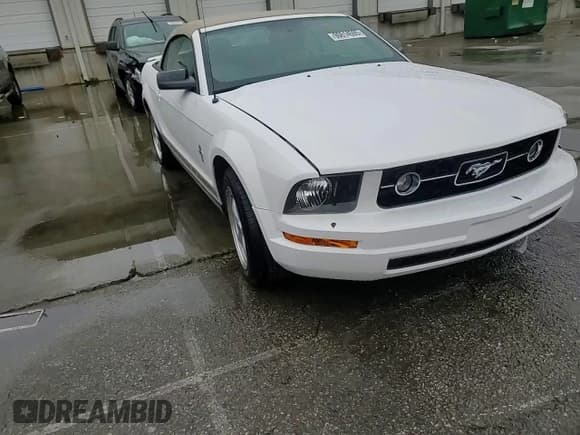 ✅ 2007 Ford Mustang Deluxe • VIN: 1ZVHT84N075363018 • Lot: 90614595. Listed on Copart with 90,030 mi. Free auction sales archive from the USA and detailed vehicle history report at DreamBid. Image 13.