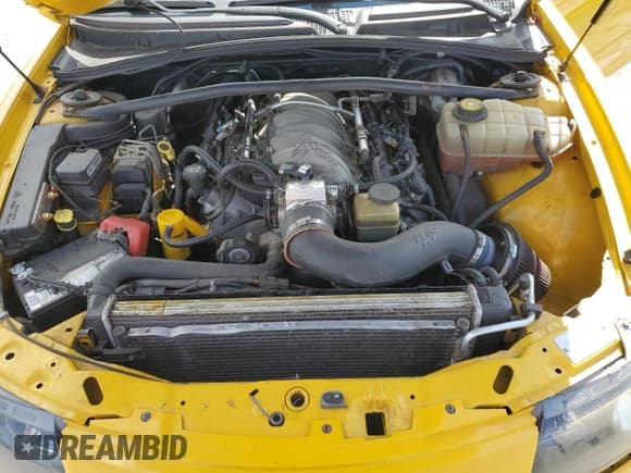 ✅ 2004 Pontiac GTO • VIN: 6G2VX12G64L296753 • Lot: 74538194. Wystawiony na Copart z przebiegiem 78 538 mil. Bezpłatny archiwum sprzedaży aukcyjnych z USA i szczegółowy raport historii pojazdu na DreamBid. Zdjęcie 11.