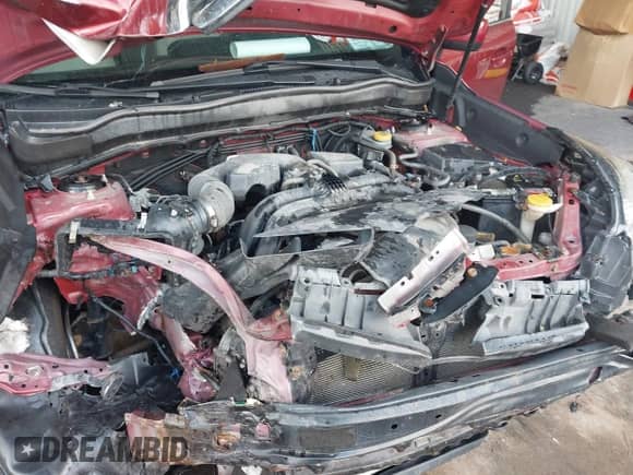 2017 Subaru Forester Limited with VIN JF2SJAJCXHH436406, listed as a IAAI auction lot 43317682 with 188,557 mi miles and . Bid and sale history available at DreamBid. Image 10.