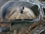 ✅ 2014 Toyota Highlander Limited • VIN: 5TDDCRFH1ES005531 • Лот: 68338835. Опубликован ранее на Copart с пробегом Не указан. Бесплатный доступ к архиву аукционных продаж из США и подробный отчёт об истории автомобиля на DreamBid. Изображение 9.