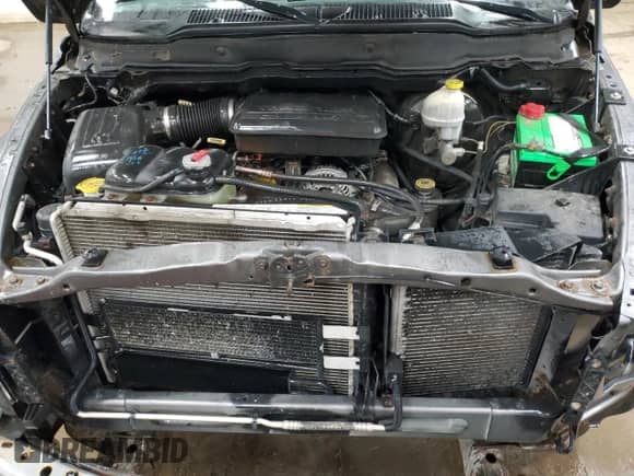 2003 Dodge 1500 ST с VIN 1D7HU18N43J502866, выставлен на аукционе Copart как лот 55883844 с пробегом 213 629 миль миль и Чистый • Clean title. История ставок и продаж доступна на DreamBid. Изображение 11.