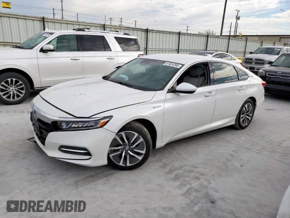2019 Honda Accord with VIN 1HGCV3F11KA003519, listed as a Copart auction lot 81924395 with 41,142 mi miles and Salvage title. Bid and sale history available at DreamBid. Image 1.