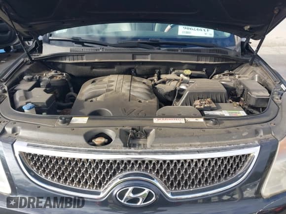 ✅ 2008 Hyundai Veracruz GLS • VIN: KM8NU13C88U052353 • Lot: 43397906. Listed on IAAI with 188,516 mi. Free auction sales archive from the USA and detailed vehicle history report at DreamBid. Image 10.