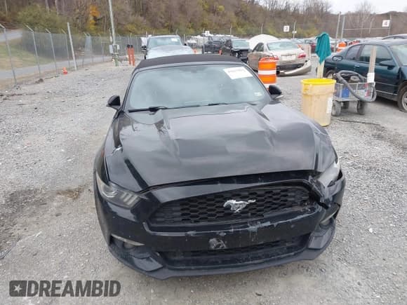 ✅ 2015 Ford Mustang EcoBoost Premium • VIN: 1FATP8UH1F5419550 • Lot: 43625893. Wystawiony na IAAI z przebiegiem 170 121 mil. Bezpłatny archiwum sprzedaży aukcyjnych z USA i szczegółowy raport historii pojazdu na DreamBid. Zdjęcie 12.