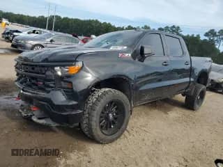 2025 Chevrolet Silverado 1500 Custom Trail Boss с VIN 3GCPKCEK2SG191648, выставлен на аукционе Copart как лот 65067735 с пробегом 7 654 миль миль и Списание • Salvage title. История ставок и продаж доступна на DreamBid. Изображение 1.