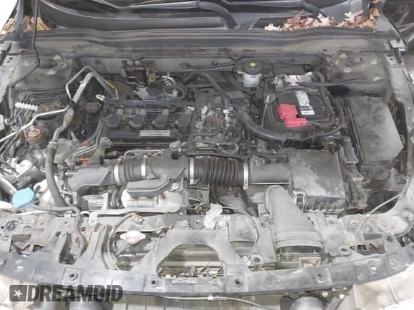 ✅ 2019 Honda Accord LX • VIN: 1HGCV1F17KA049666 • Лот: 43692933. Опубликован ранее на IAAI с пробегом 138 497 миль. Бесплатный доступ к архиву аукционных продаж из США и подробный отчёт об истории автомобиля на DreamBid. Изображение 10.