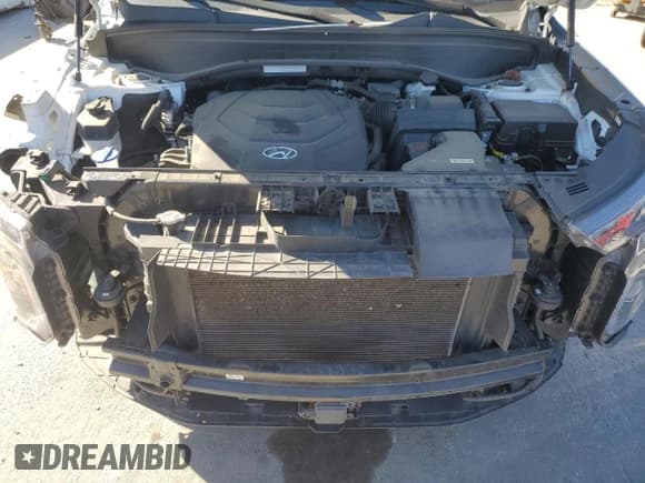 ✅ 2022 Hyundai Palisade SEL • VIN: KM8R4DHE8NU387198 • Лот: 82005704. Опубликован ранее на Copart с пробегом 56 760 миль. Бесплатный доступ к архиву аукционных продаж из США и подробный отчёт об истории автомобиля на DreamBid. Изображение 12.