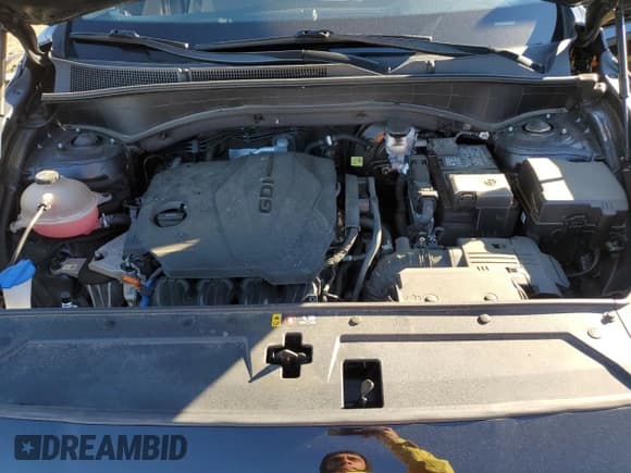 ✅ 2021 Hyundai Santa Fe SEL • VIN: 5NMS2DAJ1MH309998 • Лот: 82576295. Опубликован ранее на Copart с пробегом 39 983 миль. Бесплатный доступ к архиву аукционных продаж из США и подробный отчёт об истории автомобиля на DreamBid. Изображение 12.