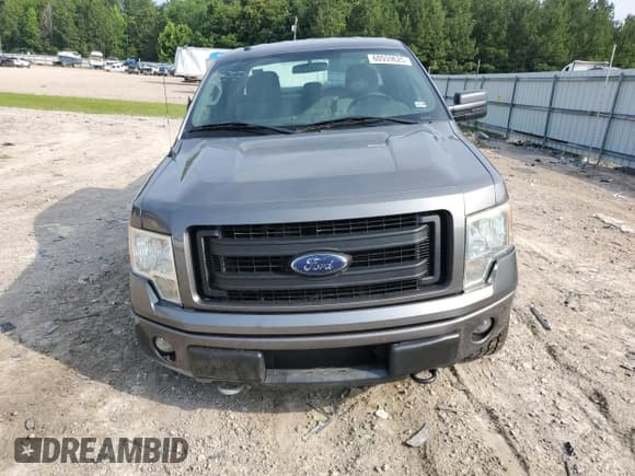 ✅ 2014 Ford F-150 XL • VIN: 1FTEX1EM8EFB54690 • Lot: 60559625. Listed on Copart with 155,717 mi. Free auction sales archive from the USA and detailed vehicle history report at DreamBid. Image 5.