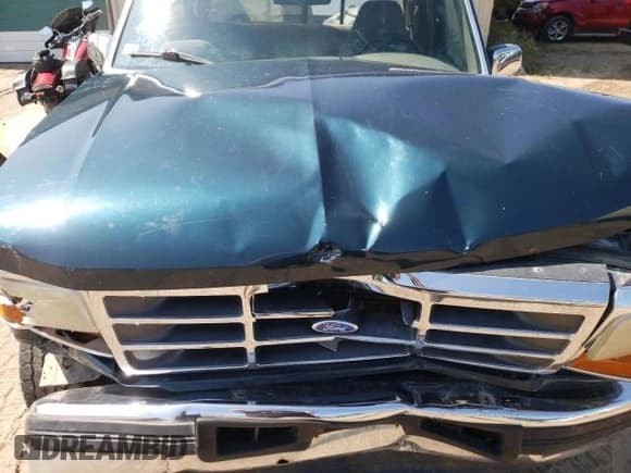 ✅ 1995 Ford F-150 • VIN: 1FTEX14N2SKB84846 • Lot: 43812414. Listed on Copart with Not provided. Free auction sales archive from the USA and detailed vehicle history report at DreamBid. Image 11.