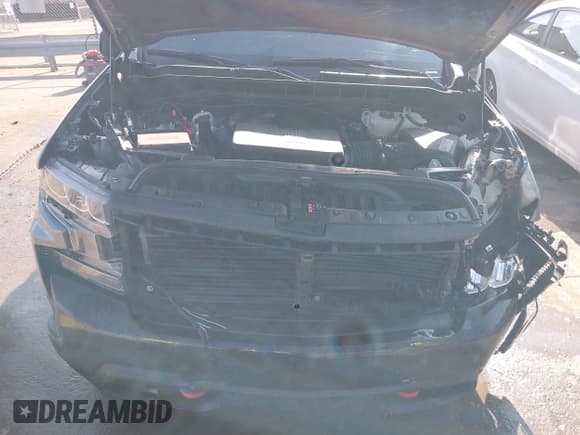 ✅ 2021 Chevrolet Silverado 1500 LT Trail Boss • VIN: 1GCPYFEL1MZ313184 • Lot: 41466786. Wystawiony na IAAI z przebiegiem 87 381 mil. Bezpłatny archiwum sprzedaży aukcyjnych z USA i szczegółowy raport historii pojazdu na DreamBid. Zdjęcie 10.