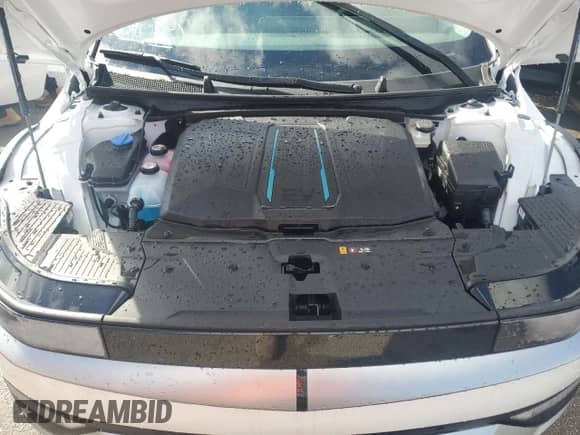 ✅ 2024 Hyundai Ioniq 5 SEL • VIN: KM8KN4DE7RU269041 • Lot: 74008014. Wystawiony na Copart z przebiegiem Nie podano mil. Skorzystaj z bezpłatnego archiwum sprzedaży aukcyjnych z USA i zobacz szczegółowy raport historii pojazdu na DreamBid. Zdjęcie 12.