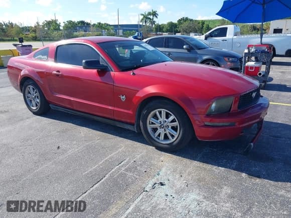 ✅ 2009 Ford Mustang • VIN: 1ZVHT80N995123846 • Лот: 42984856. Опубликован ранее на IAAI с пробегом 162 207 миль. Бесплатный доступ к архиву аукционных продаж из США и подробный отчёт об истории автомобиля на DreamBid. Изображение 1.